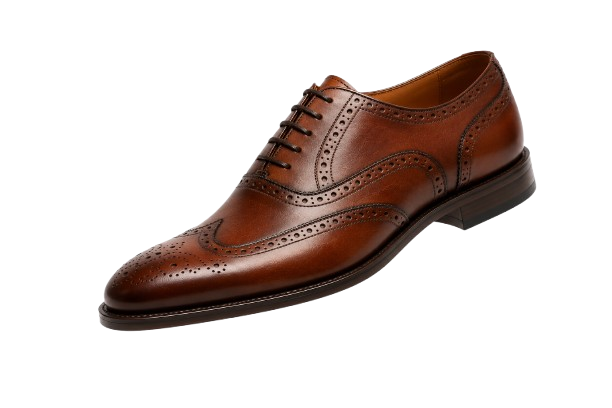 Premium Shoe
